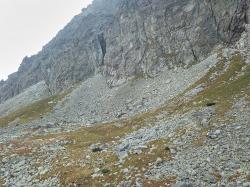 Photo Textures of High Tatras